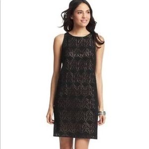 LOFT Beautiful Crochet Black Lace Dress